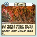 명심보감 이미지