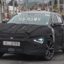 페이스화가