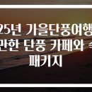 해변가한옥민박 | 2025년 가을단풍여행 가볼 만한 단풍 카페와 숙소 패키지