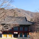 친구들과 전북 무주 구천동을 가다/ 걷기 좋은 길 어사길과 백련사까지 트레킹/무주 리조트 /반햇소 식당