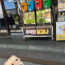 BG독케어센터 이미지