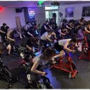 피트니스382 이미지