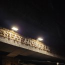 어도러블 | 보정동 카페 강력 추천! 스테이 어도러블 내돈내산 솔직 후기 (feat.얼그레이갸또케이크)