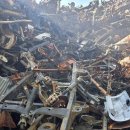 일호자동차 이미지