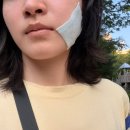 [내돈내산] 신촌 사랑니공장 잎사귀치과병원 발치 후기🦷