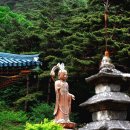 삼화사 Daum카페
