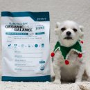 강아지당 | 강아지 사료 추천 유기농 관절 애견사료 후기