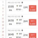 제주일상 이미지