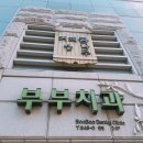 까페커피콩나무