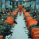 율곡캠핑장 이미지