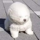 보통의날들 이미지