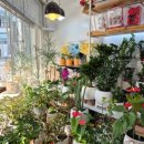 칠성남로 이미지