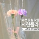 송이플라워 - 진주시 대신로348번길 19 | 서현 꽃집 촬영 소품용 꽃한송이 카네이션 구매후기,서현플라워