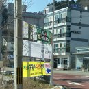 공곶이 | 거제 제3회 공곶이 수선화 축제 1일차 후기