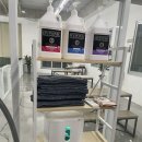 프리멍 샵 애견미용 이미지