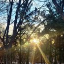 갑인
