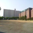 진성고등학교 이미지