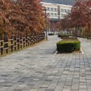 샘마루공원 테니스장 이미지