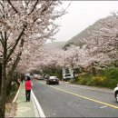 미인봉(저승봉) 정상 이미지