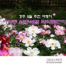 장매마을 | 경북 경주 5월 추천여행지::서악동 삼층석탑 작약꽃단지【23년5월14,10일】