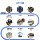 (주)우루루 | [공지] 호주여행. 멜버른 투어. 그레이트오션투어. 헬기체험🚁. 내돈내산 투어솔직후기 🌊