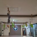 인바디 체형교정 요가 | 대전 둔산동 운동 추천 - 체형교정에 좋은 [필라테스인바디앤요가]