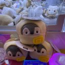 개쩐다뽑기 이미지