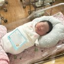 빛고을여성병원 이미지