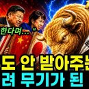 "환율 1,550원" 중국 0%, 일본 25년 제자리...한국만 역대 최대인 이유/"국토 107위, 인구 29위, 자원 제로" 이 나라 이미지