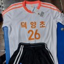 동은스포츠