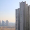 꼼앤돌 이사의 시작은 에덴홈서비스 입주청소로 꼼꼼하게!