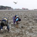간월도어촌계 이미지