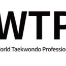 태권도연구방법 이미지