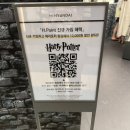 신비 스토어 몰 이미지