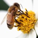 이창훈한의원 이미지