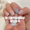 네일화색 이미지