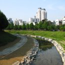 유성한복 이미지