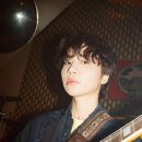 다운애견 이미지