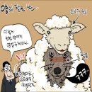 대한민국마트 Daum카페