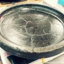 고바우정육식당