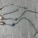 보쉬카상무점 이미지