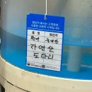 귀빈 이미지