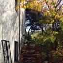 아이엘닷컴 이미지