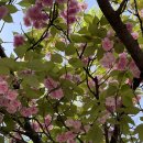 유성구청 6층 | 💙3 :: 아산까지 접수 / 갑천 야외테이블 브런치 맛집 / 어궁동 해리포터 펍 단체모임 주점 / 성심당 빵...