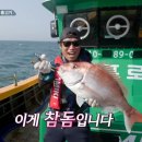 신안목장2 이미지