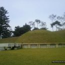 홍주의사총 이미지