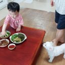 스위트99안동용상점