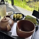 한창로 | 제주도 카페 리스트 8개 추천 | 제주 감성 카페 | 제주도 중문 카페 | 서귀포 카페 | 오설록 티 뮤지엄...