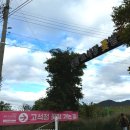 10월가볼만한곳추천, 2024 철원 고석정꽃밭 축제기간 가는길 후기
