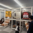 돼지zone 이미지